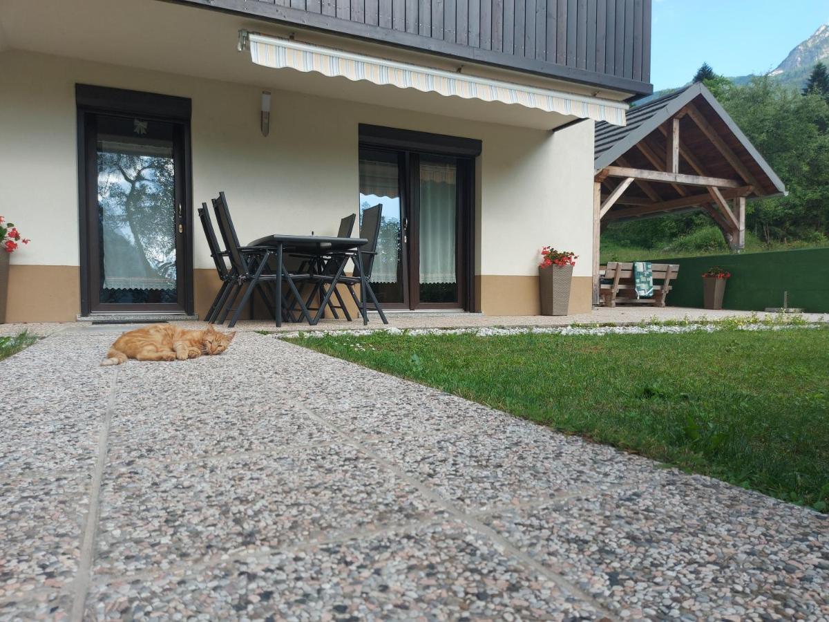 Apartmán Apartmaji Katrc Soča Exteriér fotografie