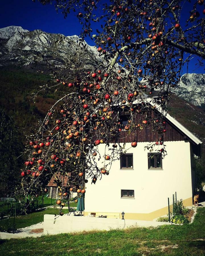 Apartmán Apartmaji Katrc Soča Exteriér fotografie