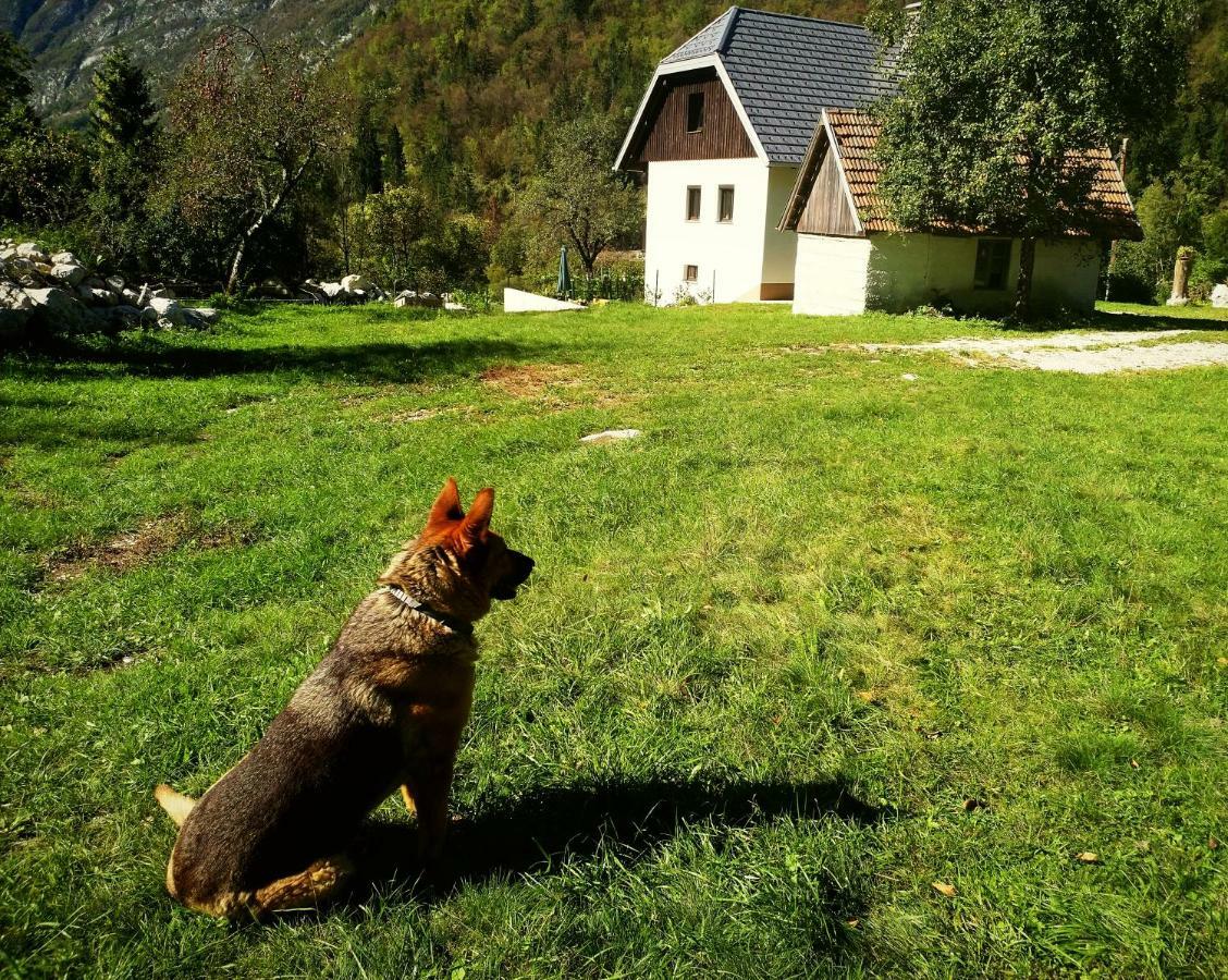 Apartmán Apartmaji Katrc Soča Exteriér fotografie